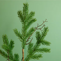 Premium Spruce & Twig Stem