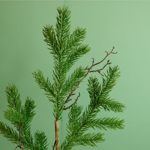 Premium Spruce & Twig Stem