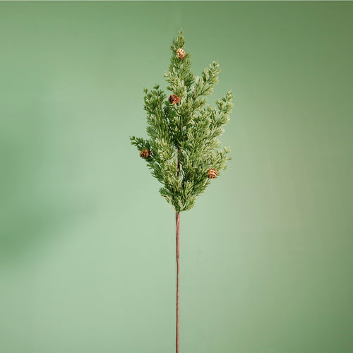 Premium Scotch Pine Large Pic (75cm)