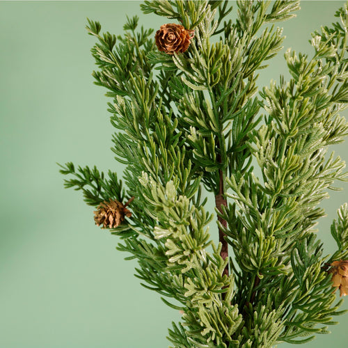 Premium Scotch Pine Large Pic (75cm)