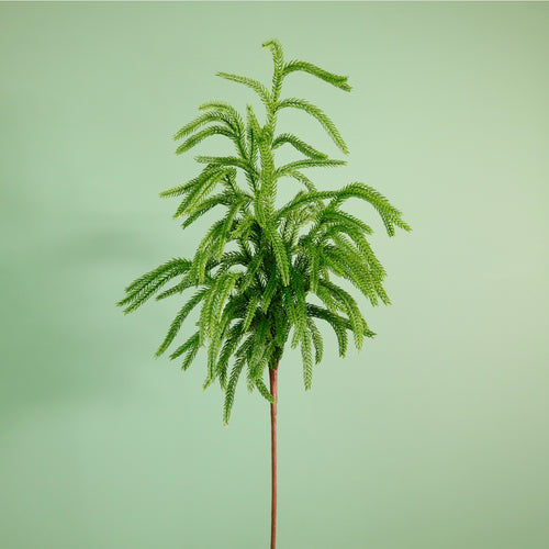 Luxury Weeping Norfolk Pine Spray (91cm)