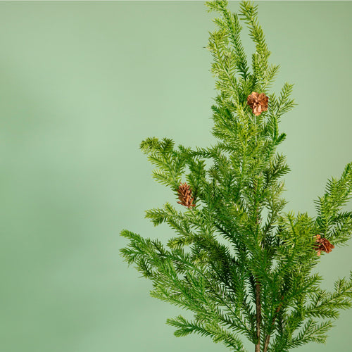 Real Touch Douglas As Fir Stem (89cm)