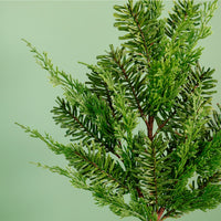 Real Touch Coarse Spruce Stem (71cm)
