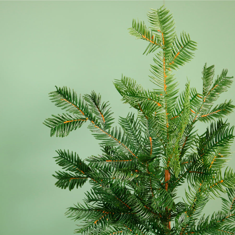 Real Touch Majestic Spruce Stem (71cm)
