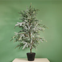 Premium Blue Royale Potted Tree (115cm)