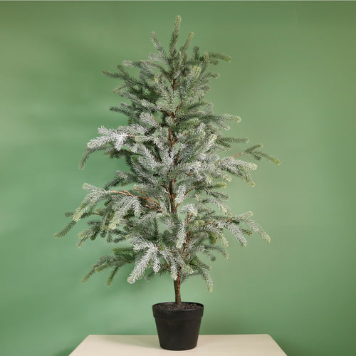 Premium Blue Royale Potted Tree (115cm)