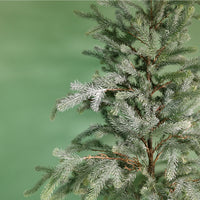 Premium Blue Royale Potted Tree (115cm)