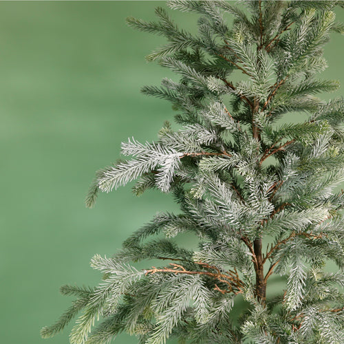 Premium Blue Royale Potted Tree (115cm)