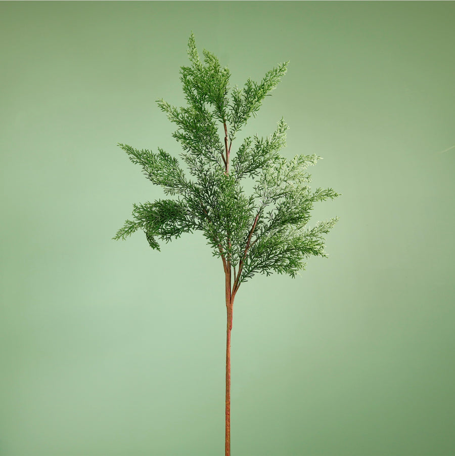 Premium Leyland Cypress Spray (104cm)