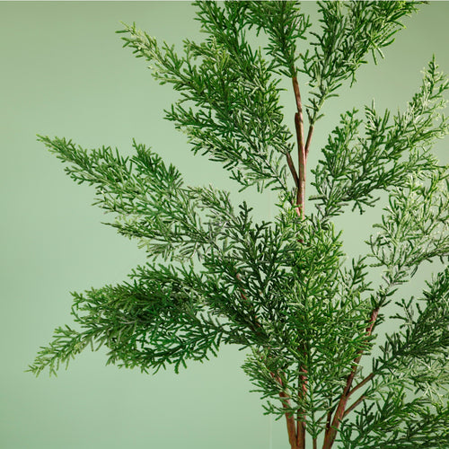 Premium Leyland Cypress Spray (104cm)