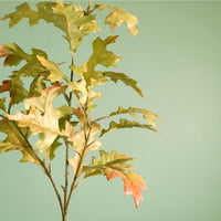 Textured Botanical Stem No.1