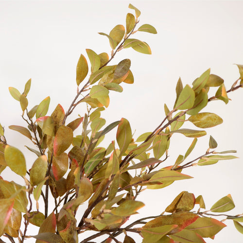Textured Botanical Stem No.4