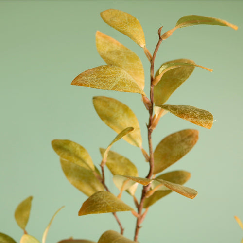 Textured Botanical Stem No.4