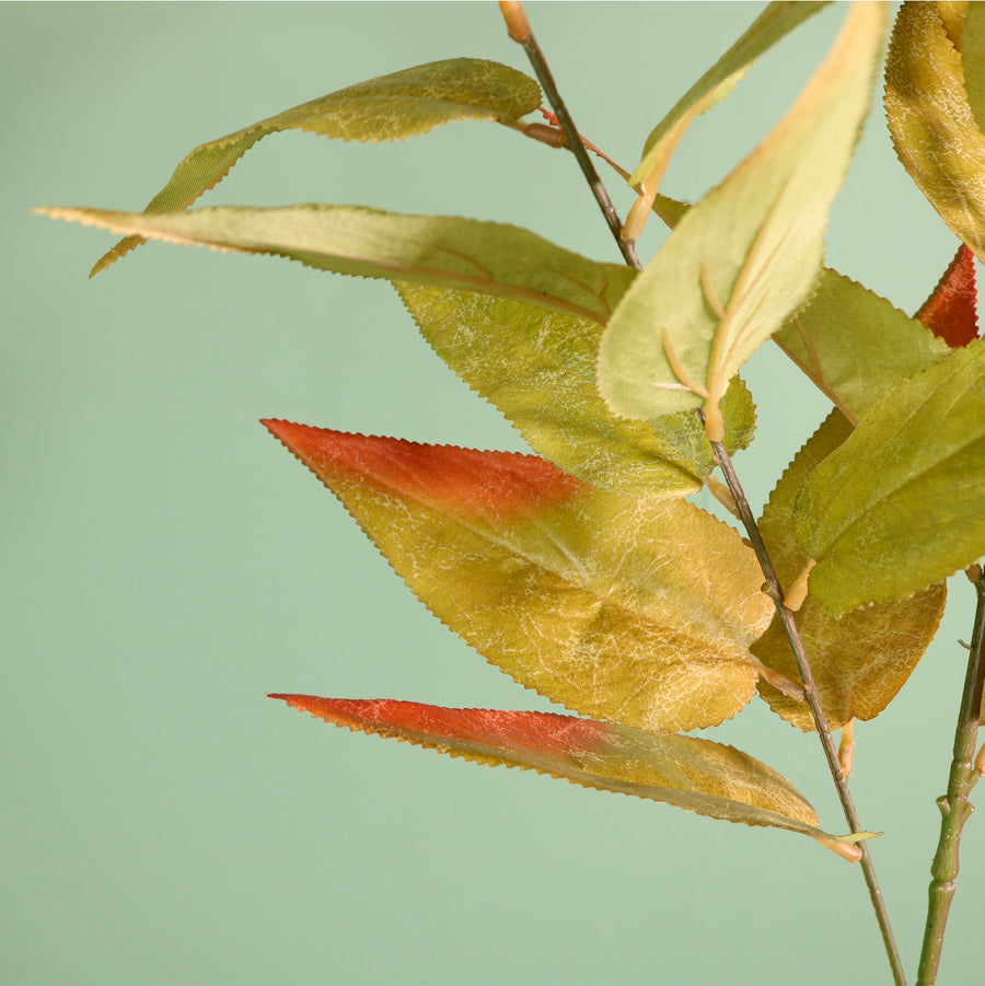 Textured Botanical Stem No.8