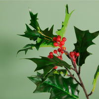 Winter Holly Spray Small