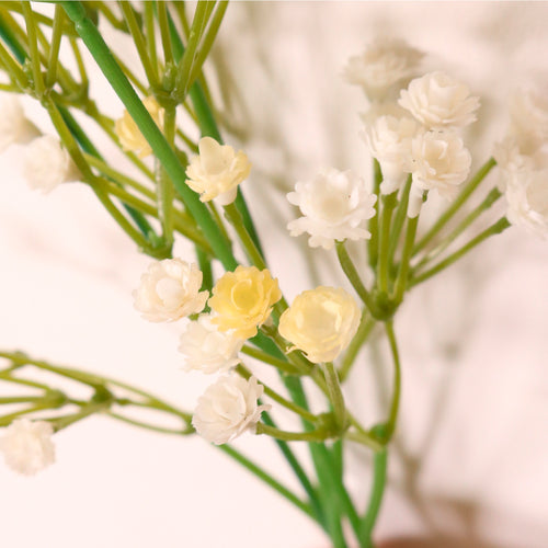 Open Top Gypsophila Spray (CLEARANCE - DISCOLOURED)
