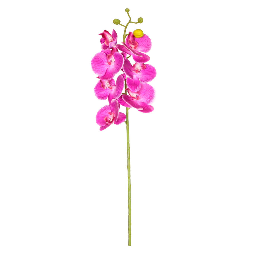 7 Head Orchid Stem