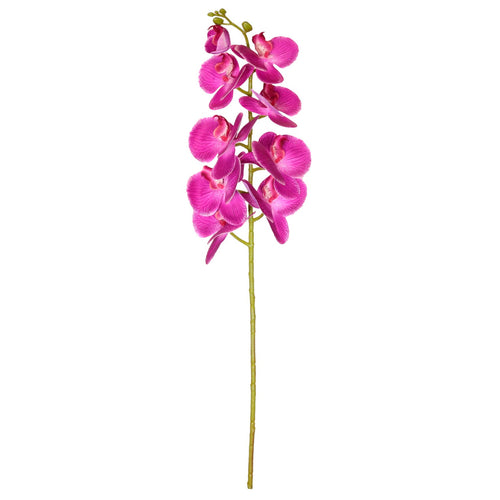 9 Head Orchid Stem