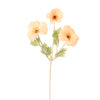 Trumpet Valentina Spray