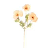Trumpet Valentina Spray