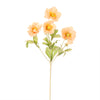 Frilly Scabiosa Spray