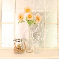 Frilly Scabiosa Spray