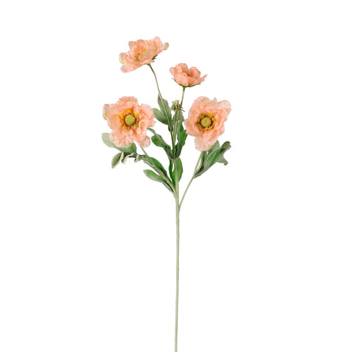 Frilly Scabiosa Spray