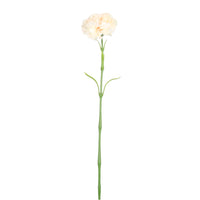 Ruffled Carnation Stem