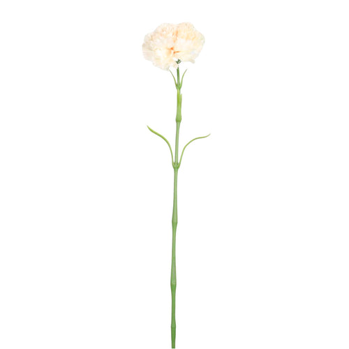 Ruffled Carnation Stem