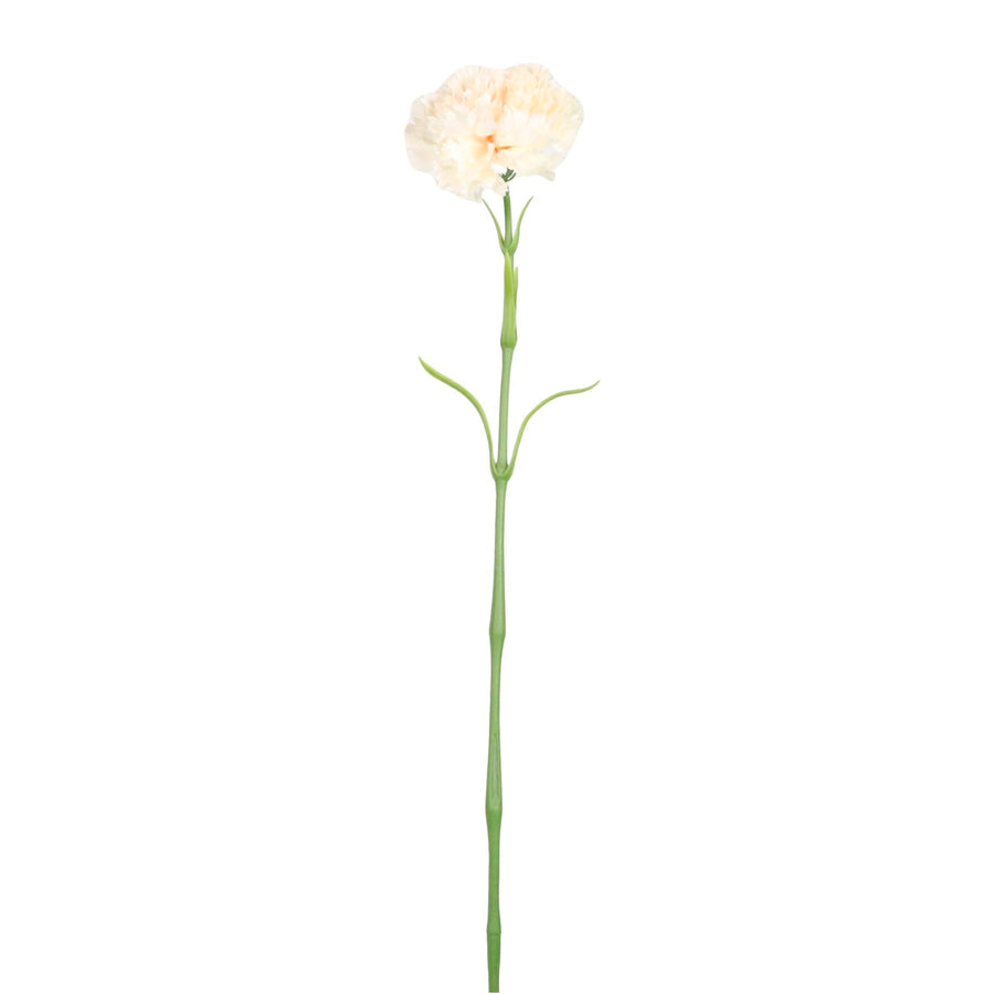 Ruffled Carnation Stem