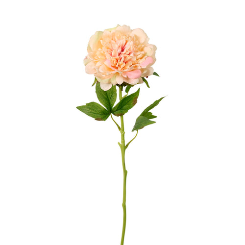 Real Touch Superior Open Peony Stem