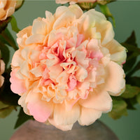 Real Touch Superior Open Peony Stem