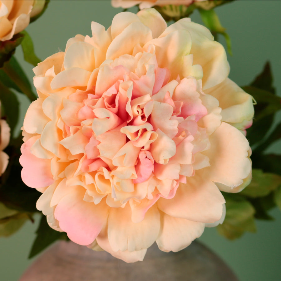 Real Touch Superior Open Peony Stem