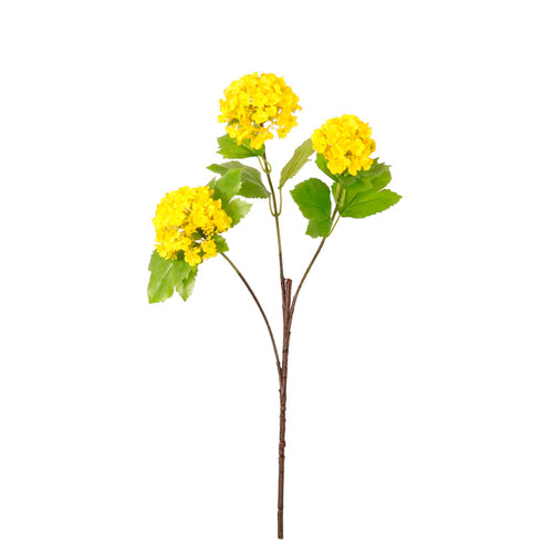 Kalancheo Geranium Spray