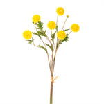 Ruffled Chrysanthemum Spray