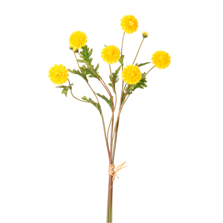 Ruffled Chrysanthemum Spray