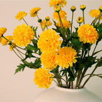 Ruffled Chrysanthemum Spray Handtied