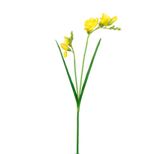 Freesia Spray