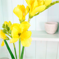 Freesia Spray