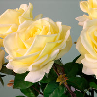 Real Touch Superior Rose Stem
