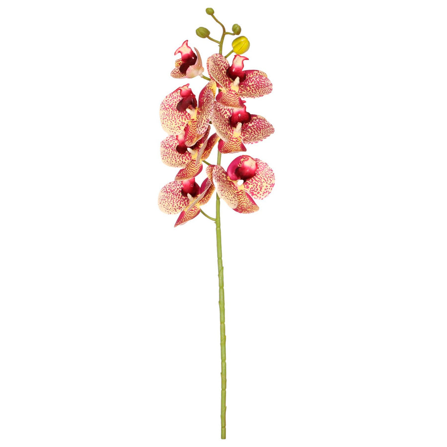 7 Head Orchid Stem