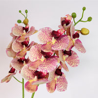 7 Head Orchid Stem