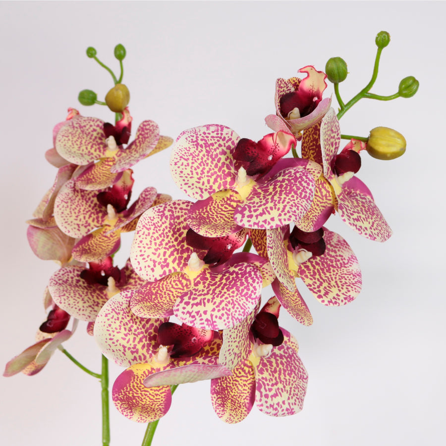 7 Head Orchid Stem