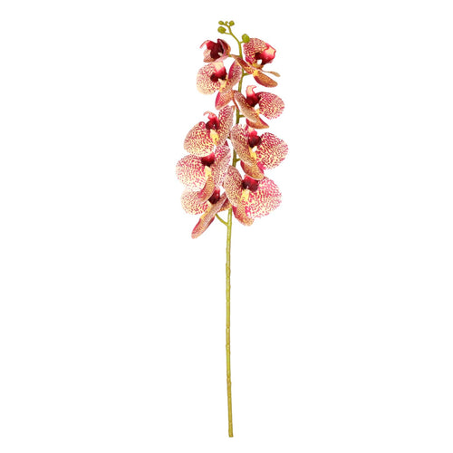 9 Head Orchid Stem