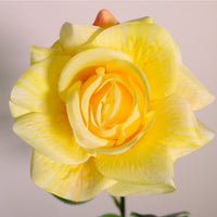 Open Esme Rose Stem