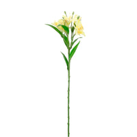 Speckled Alstroemeria Stem