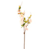 Ottilie Cherry Blossom Stem