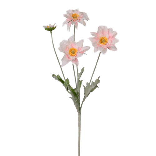 Chrysanthemum Japonense Spray