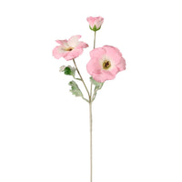 Trumpet Valentina Spray