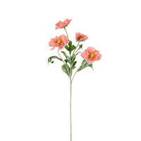 Frilly Scabiosa Spray